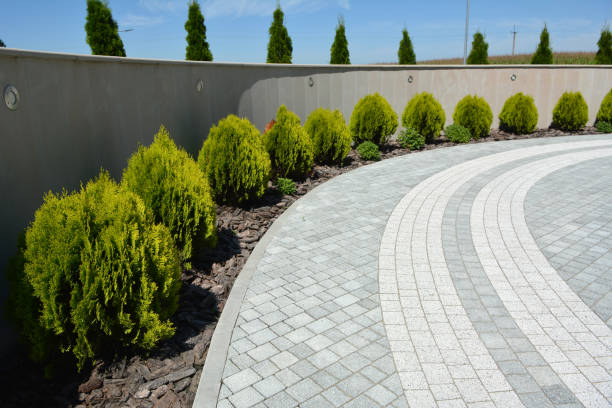 Best Driveway Paver Repair  in Stinnett, TX